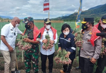 Kapolda Sumut Panen Raya Padi dan Tinjau Tanaman Bawang di Karo