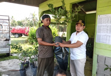 Tampak