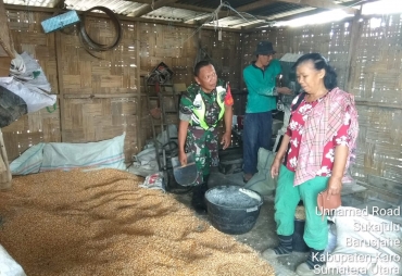 Tampak
