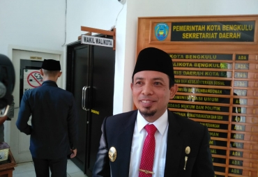 Tampak