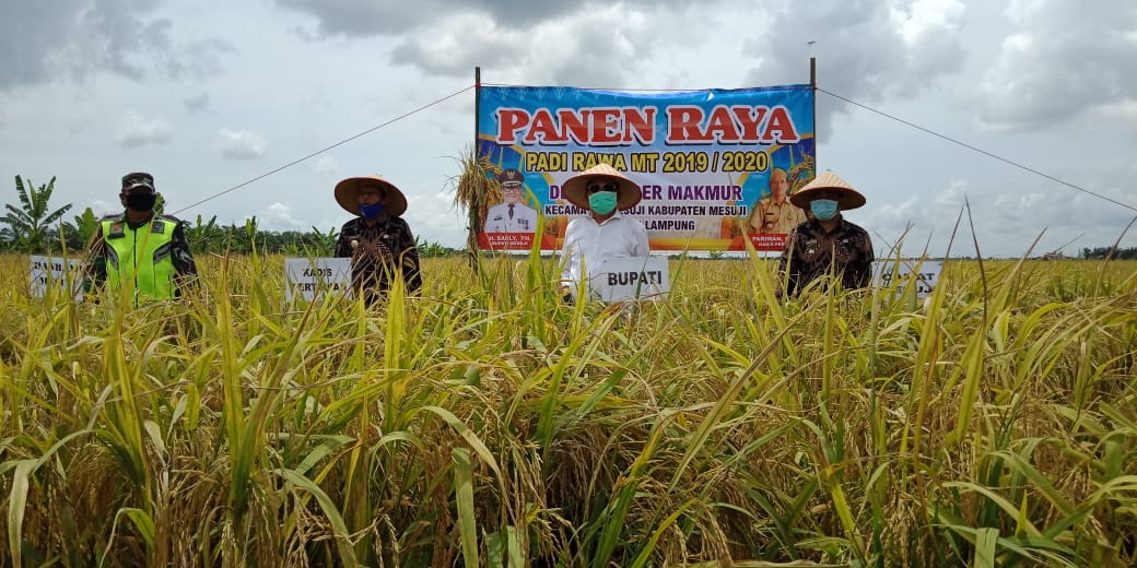 Dampak Corona Kegiatan di Semua Sektor Terhambat