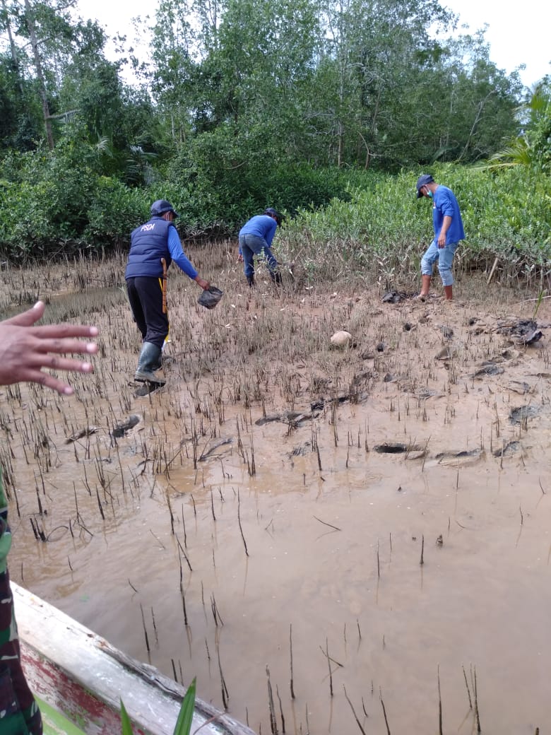 KPS dan BWS Sumatera VII Lakukan Penghijauan di Muara Pantai Indah