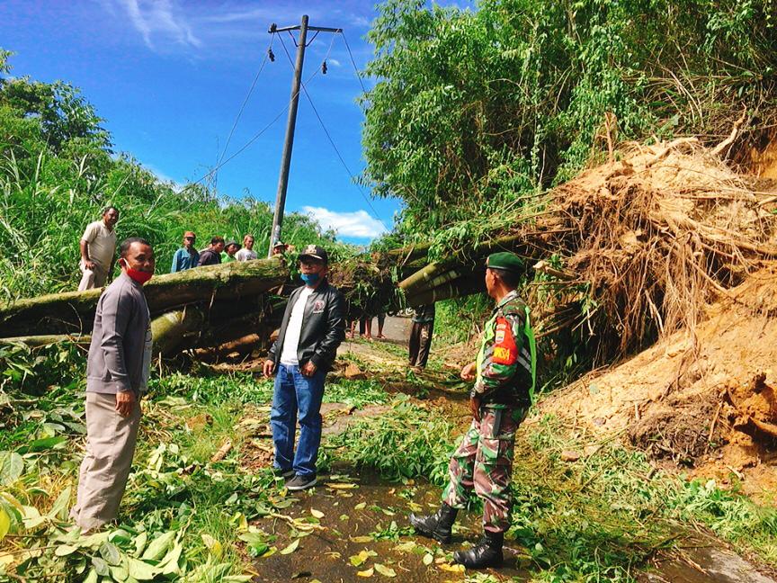 Hujan Deras Akses Jalan Desa Ujung Tran Tertutup Pohon Tumbang