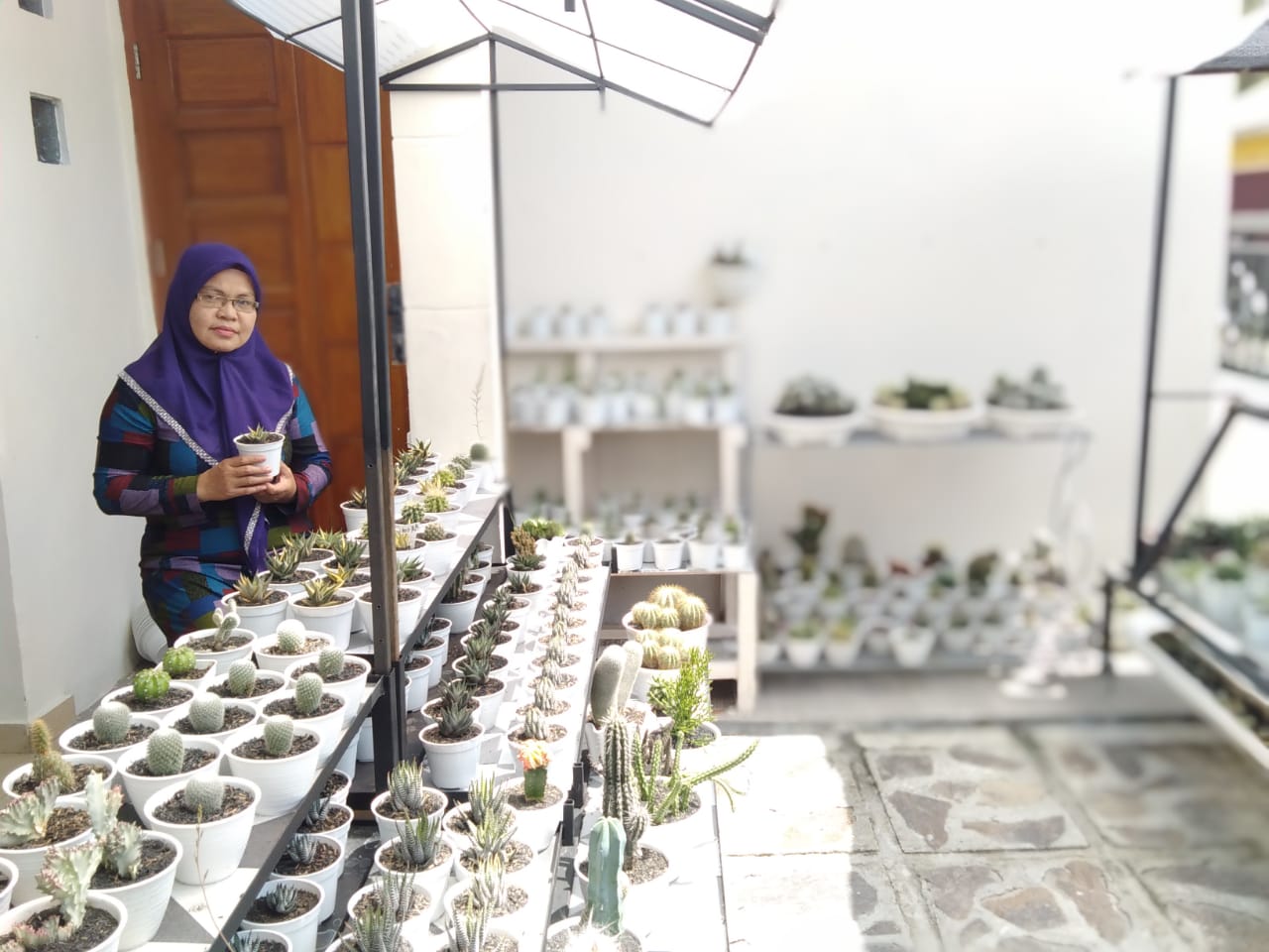 Penjual Kaktus Ini Hasilkan Jutaan Rupiah di Masa Pandemi Covid-19