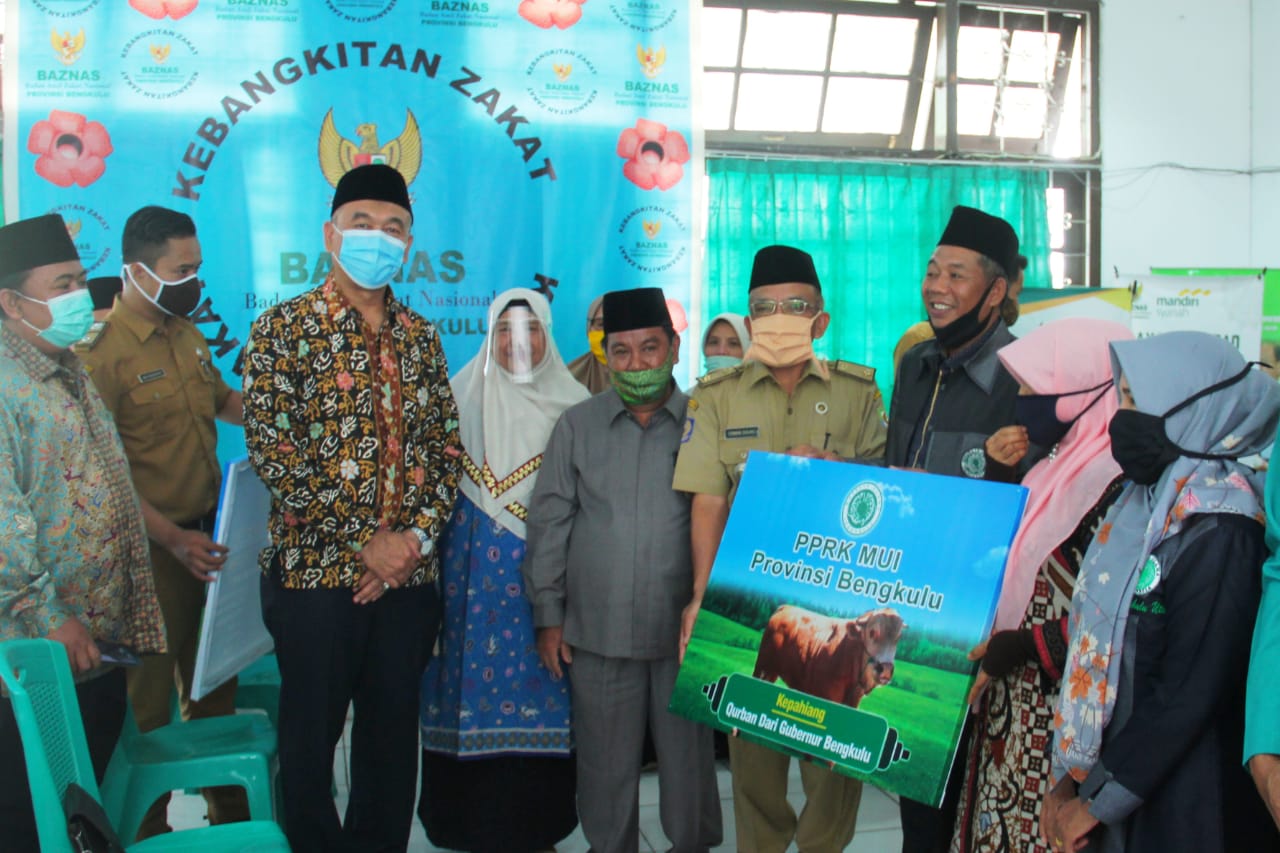 MUI Provinsi Bengkulu Terima Sapi Qurban dari Gubernur Rohidin