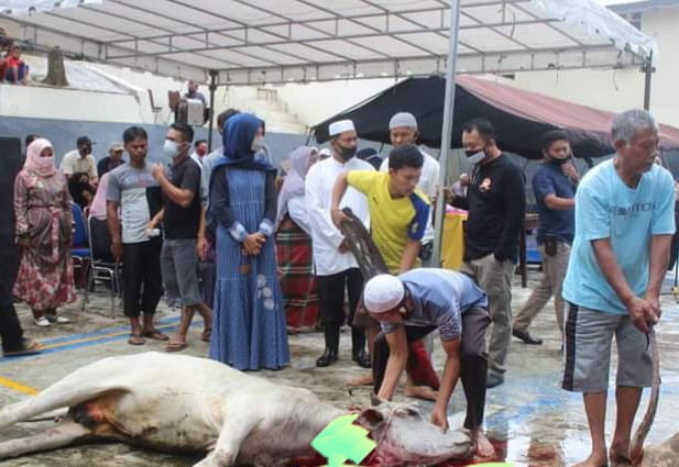 Kurban 9 Ekor Sapi Polres Padangsidimpuan Distribusikan Lewat 560 Kupon