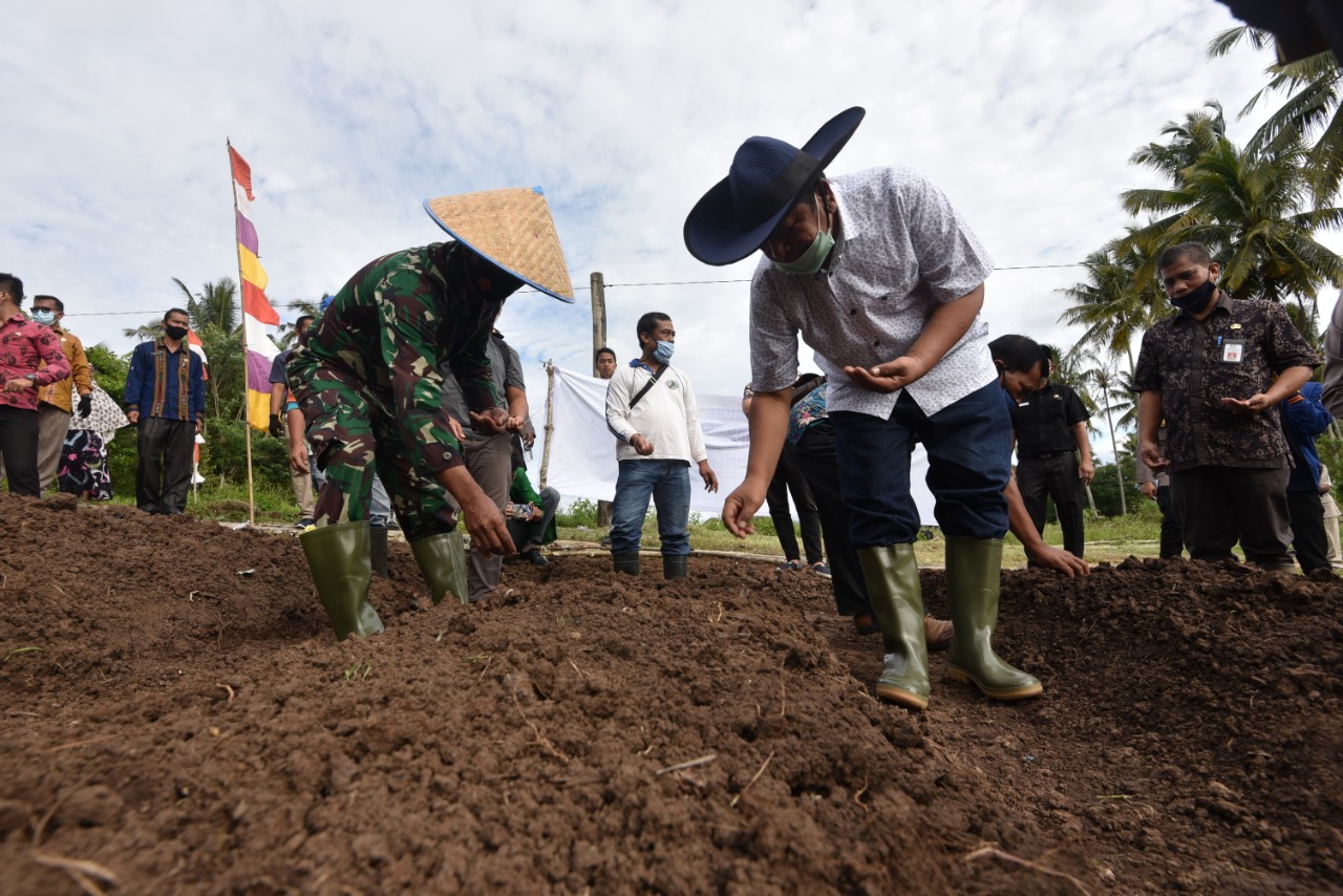 Hadiri Acara Ketahanan Pangan di Joring Natobang Wawali Himbau Patuhi Prokes Covid-19