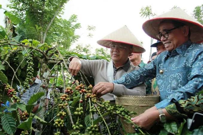 Hutan Sosial Kemasyarakatan Cara Jitu Rohidin Lindungi Hak Petani