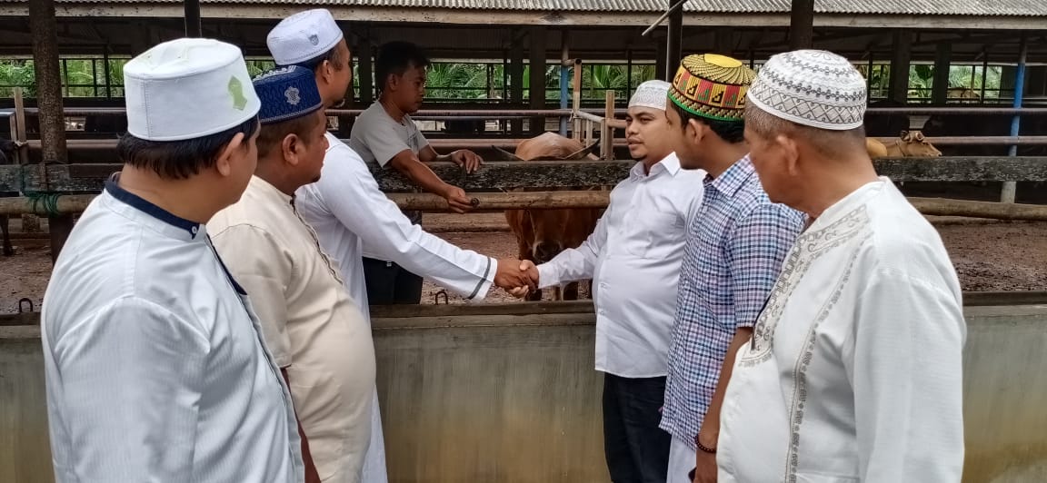 Peringati Maulid Nabi Muhammad SAW Anggota DPRK PKS Sumbangkan Lembu