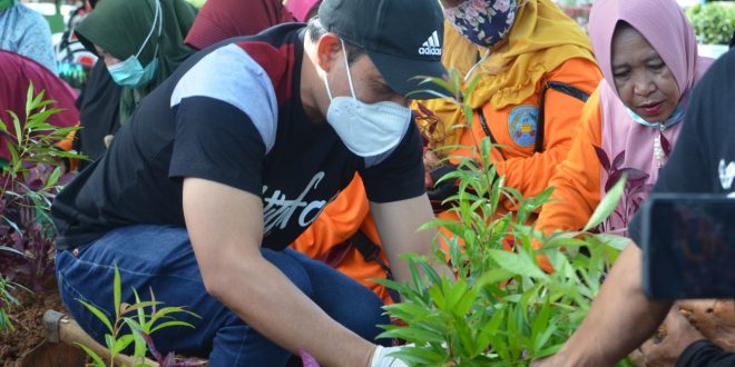  Pemkot Bengkulu Hiasi Jalan Protokol dengan Bunga