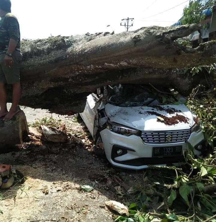 Pohon Tumbang Timpa Satu Mobil Ertiga