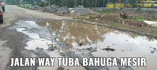 Jalan Way Tuba-Bahuga Wewenang Pemprov Lampung Butuh Perhatian Ini Curhatan Mahasiswa Hingga Warga