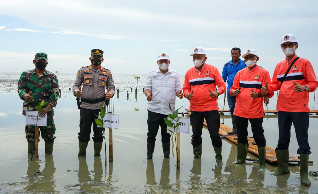 Peringati HLH Bupati Batu Bara Tanam 3100 Mangrove di Pantai Sejarah