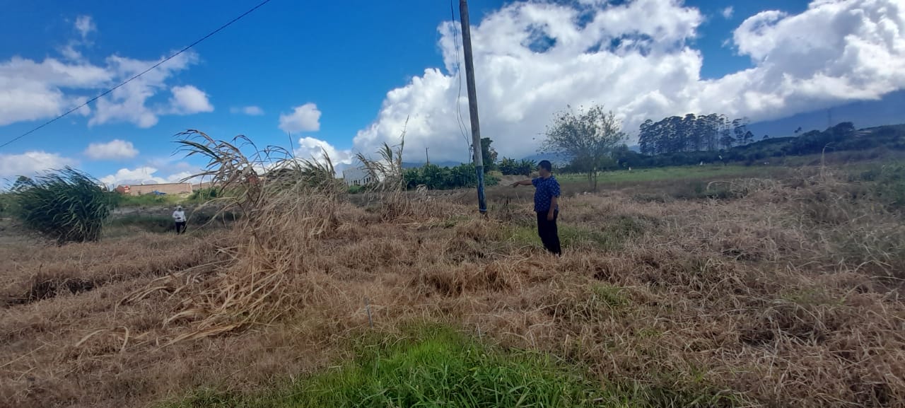 Diduga Ada Pencurian Arus Listrik Di Desa Aek Popo Ini Penjelasan ULP Kabanjahe