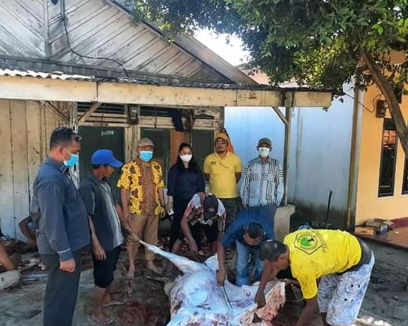 DPD Golkar Batu Bara Sembelih 2 Ekor Lembu