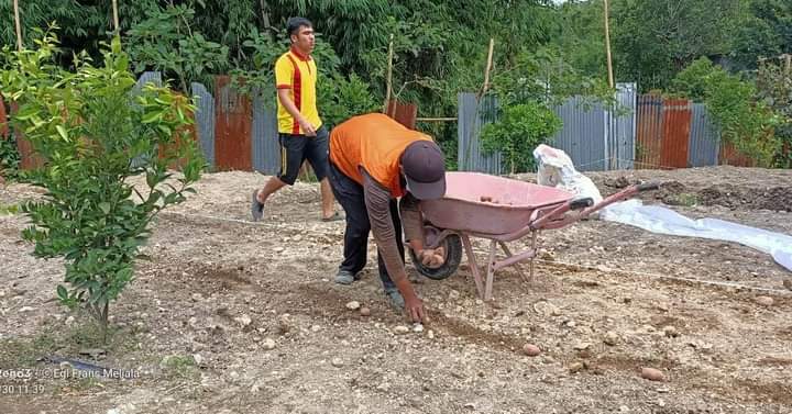 Warga Binaan Kelas IIB Kabanjahe Tanam Kentang