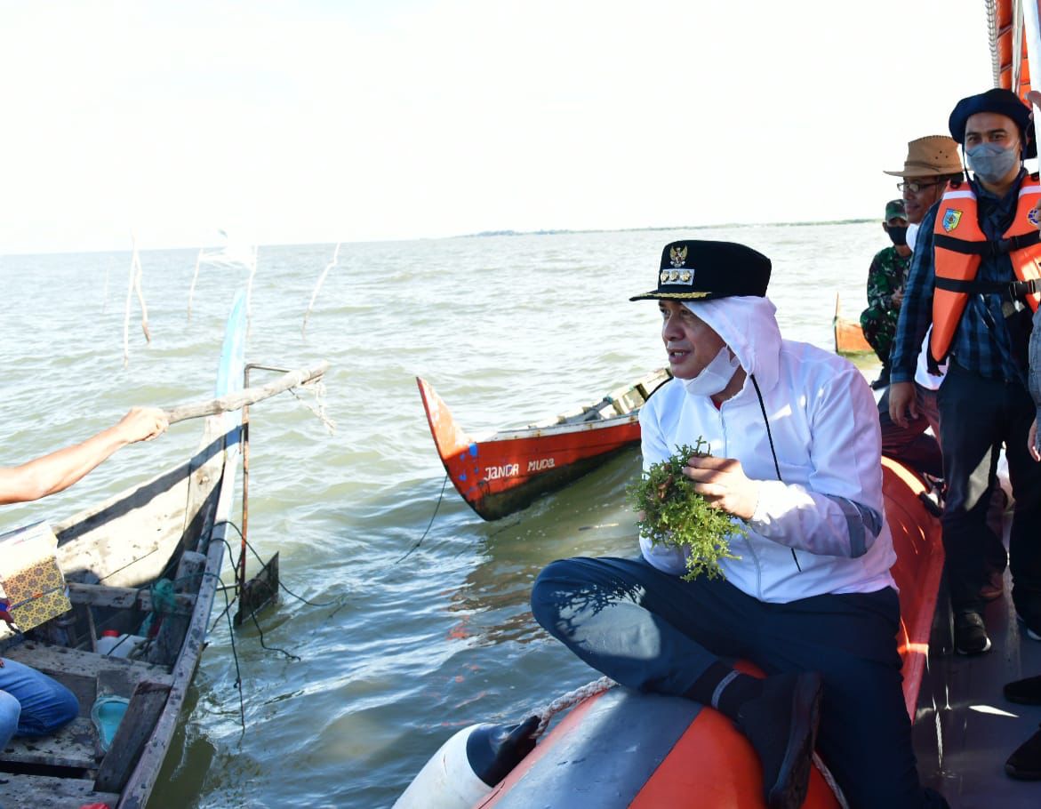 Dukung Budidaya Rumput Laut Zahir : Ini Peluang Yang Sangat Menjanjikan