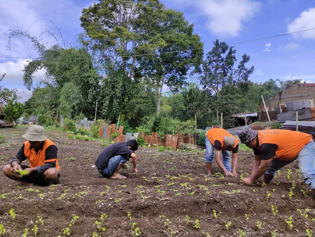 SAE Rutan Kelas IIB Kabanjahe Tanam Seledri