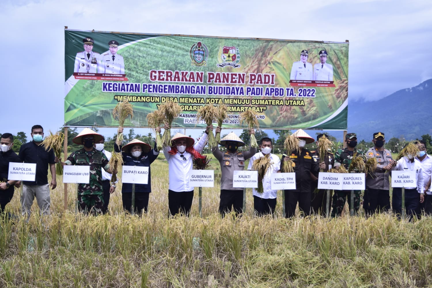 Bupati Karo Dampingi Gubsu Panen Raya Padi Sawah Di Lau Kesumpat