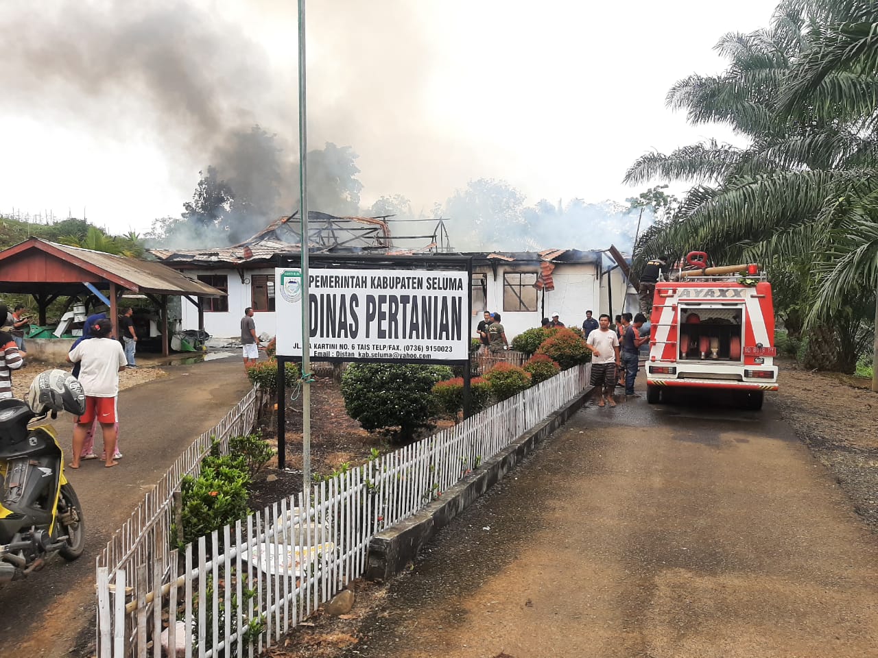 Si Jago Merah Melalap Kantor Dinas Pertanian Kabupaten Seluma