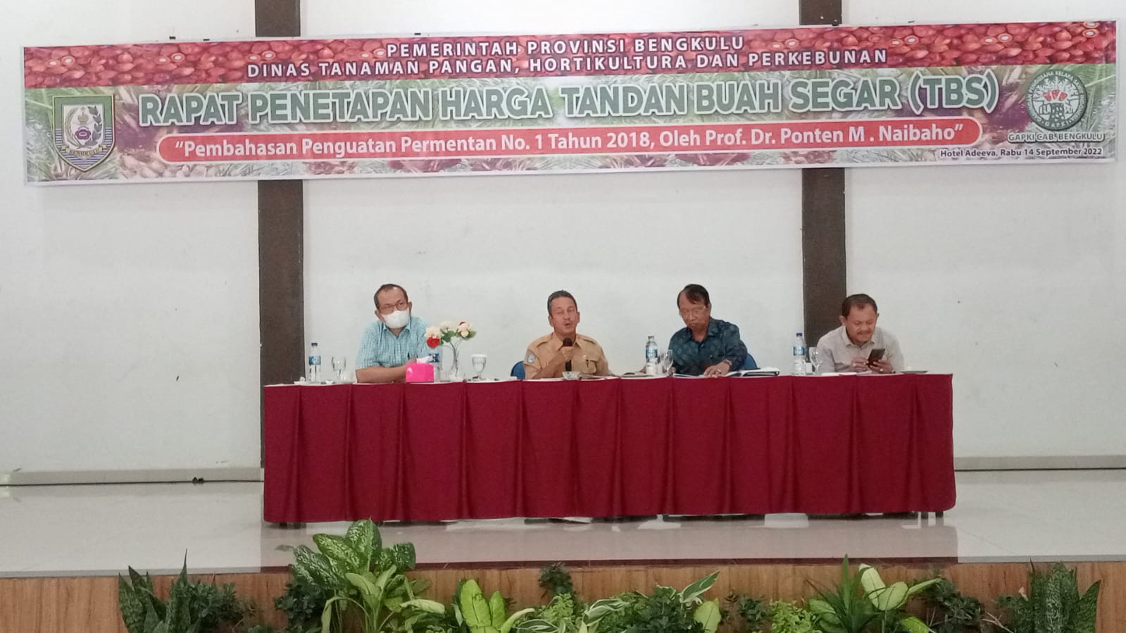 DTPHP Bengkulu : Permintaan Benih Sawit Varietas Simalungun Cukup Tinggi