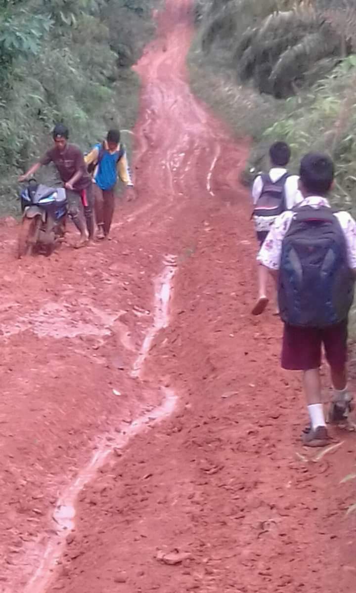 Sunguh Sangat Prihatin melihat Jalan Yang dilalui masyarakat dan anak sekolah 