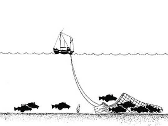 Ilustrasi