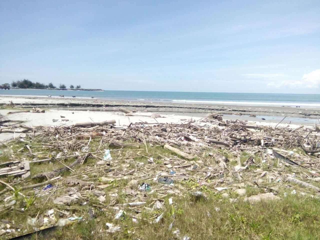 Miris Tampak Sampah Yang Berserakan