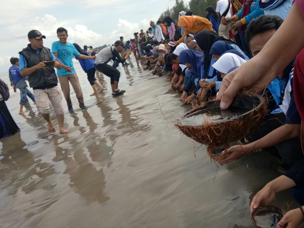 Sebanyak 500 tukik dilepaskan 