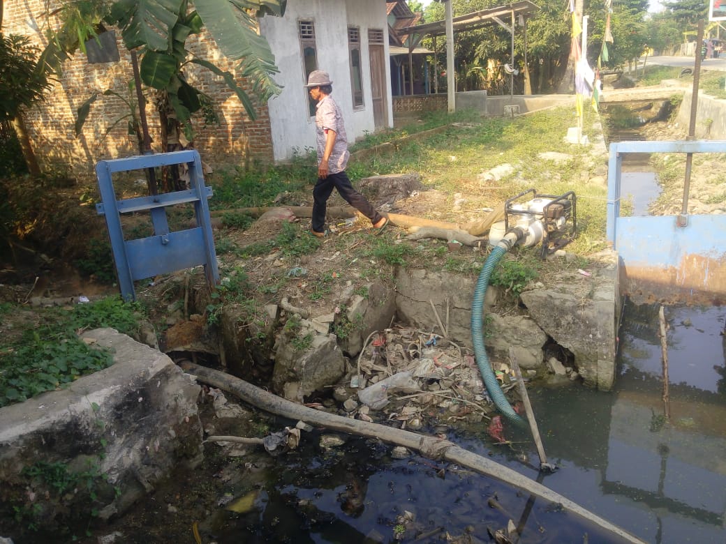 Tampak Saluran Tersier Hampir Kering