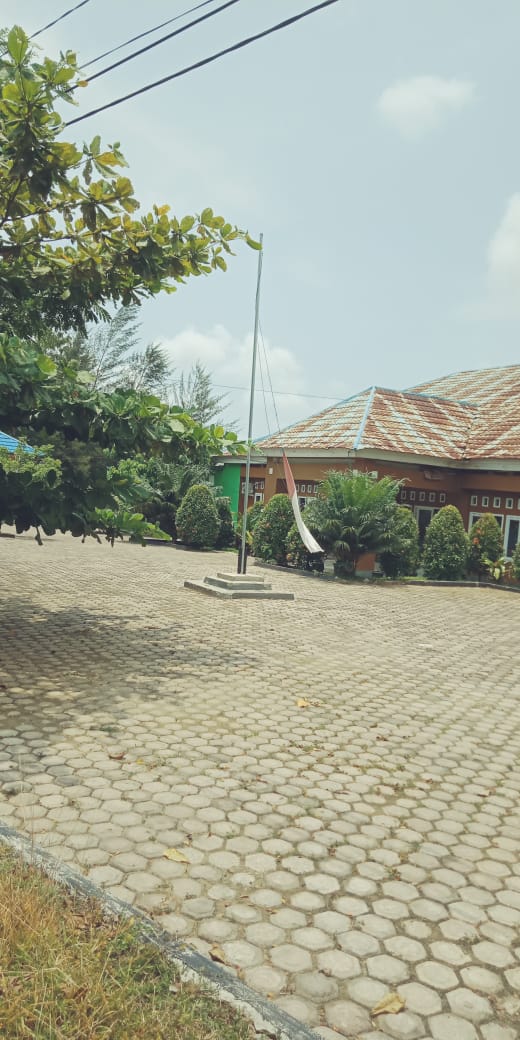 Tampak