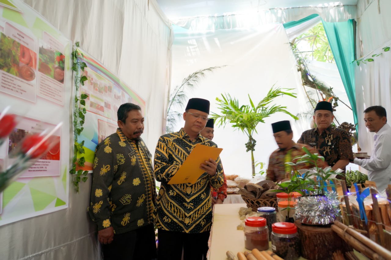 Tampak