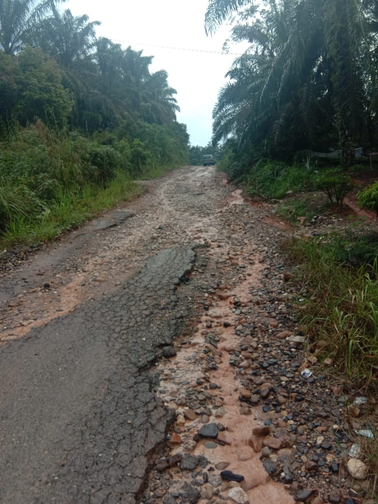 Warga Harapkan Pemerintah Setempat Lakukan Pembangunan Jalan