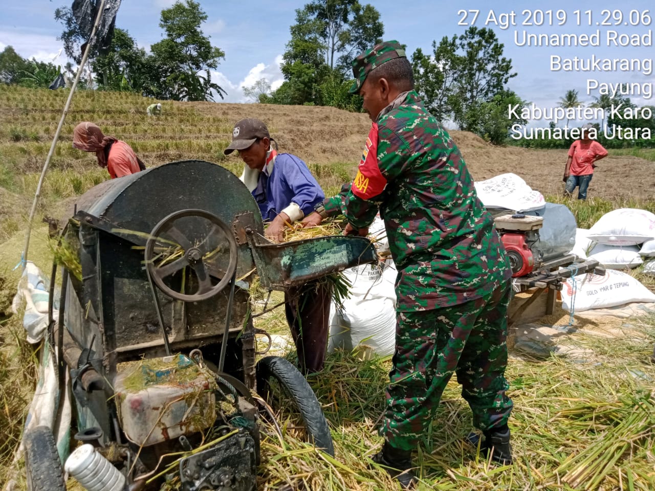 Babinsa Koramil 05/Payung Bantu Petani Desa Batukarang  Panen Padi