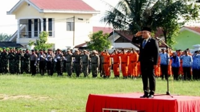 Bupati Labuhanbatu Jadi Irup Hari Pahlawan