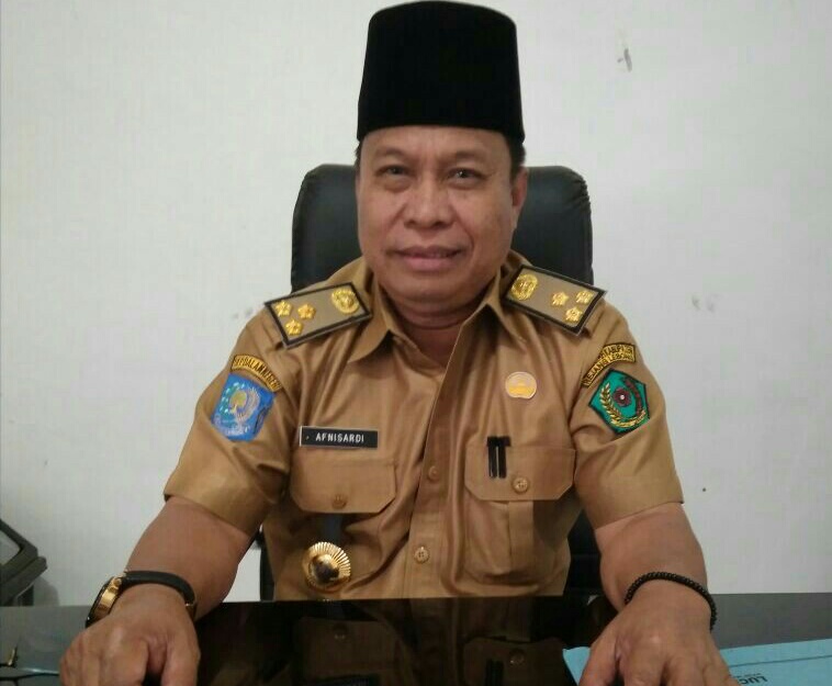 Kepala Dinas Penanaman Modal dan Pelayanan Terpadu Satu Atap Kabupaten Rejang Lebong Ir. Afnisardi MM.