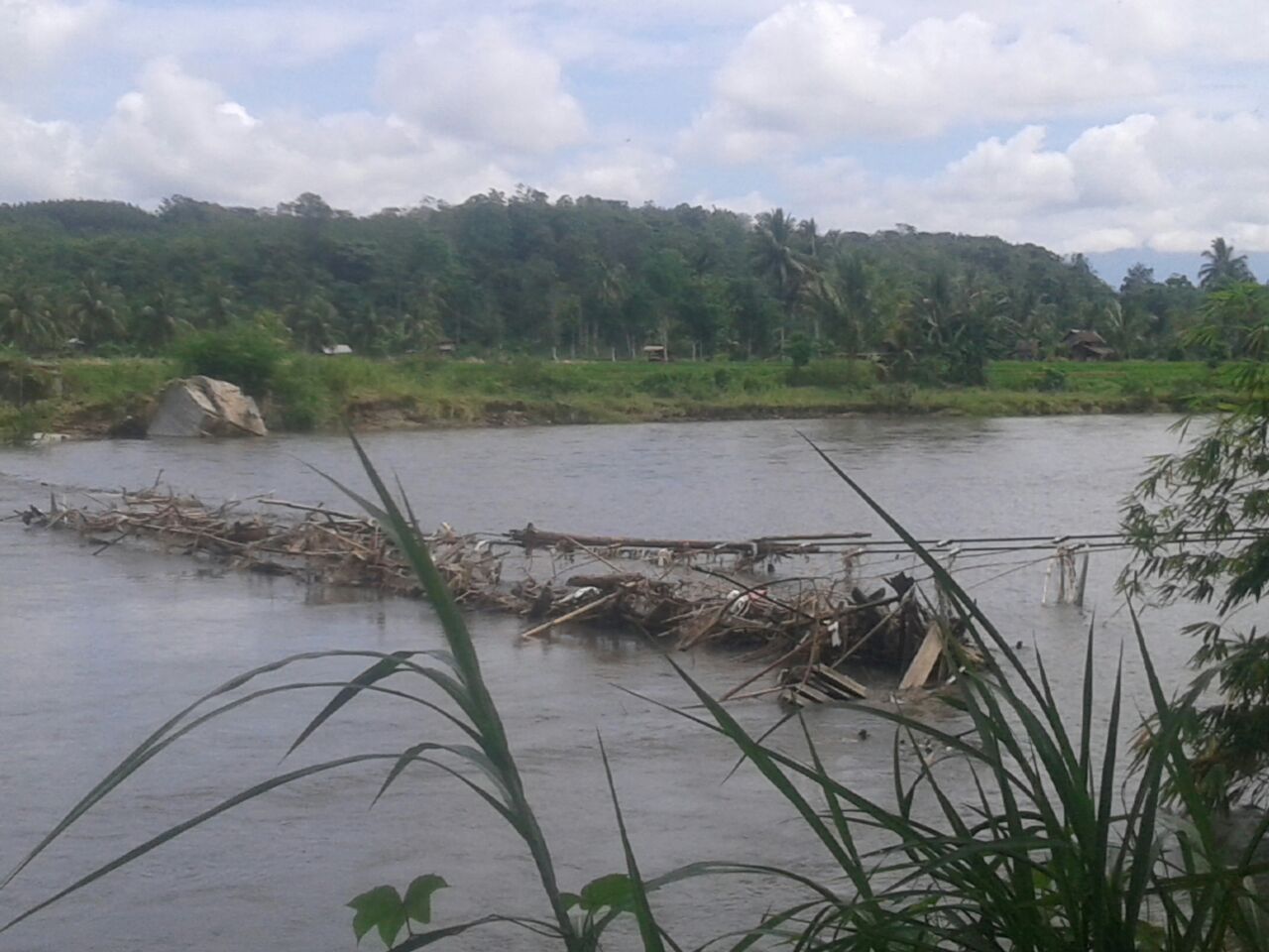 Petani Kesulitan Menuju Lokasi Persawahan