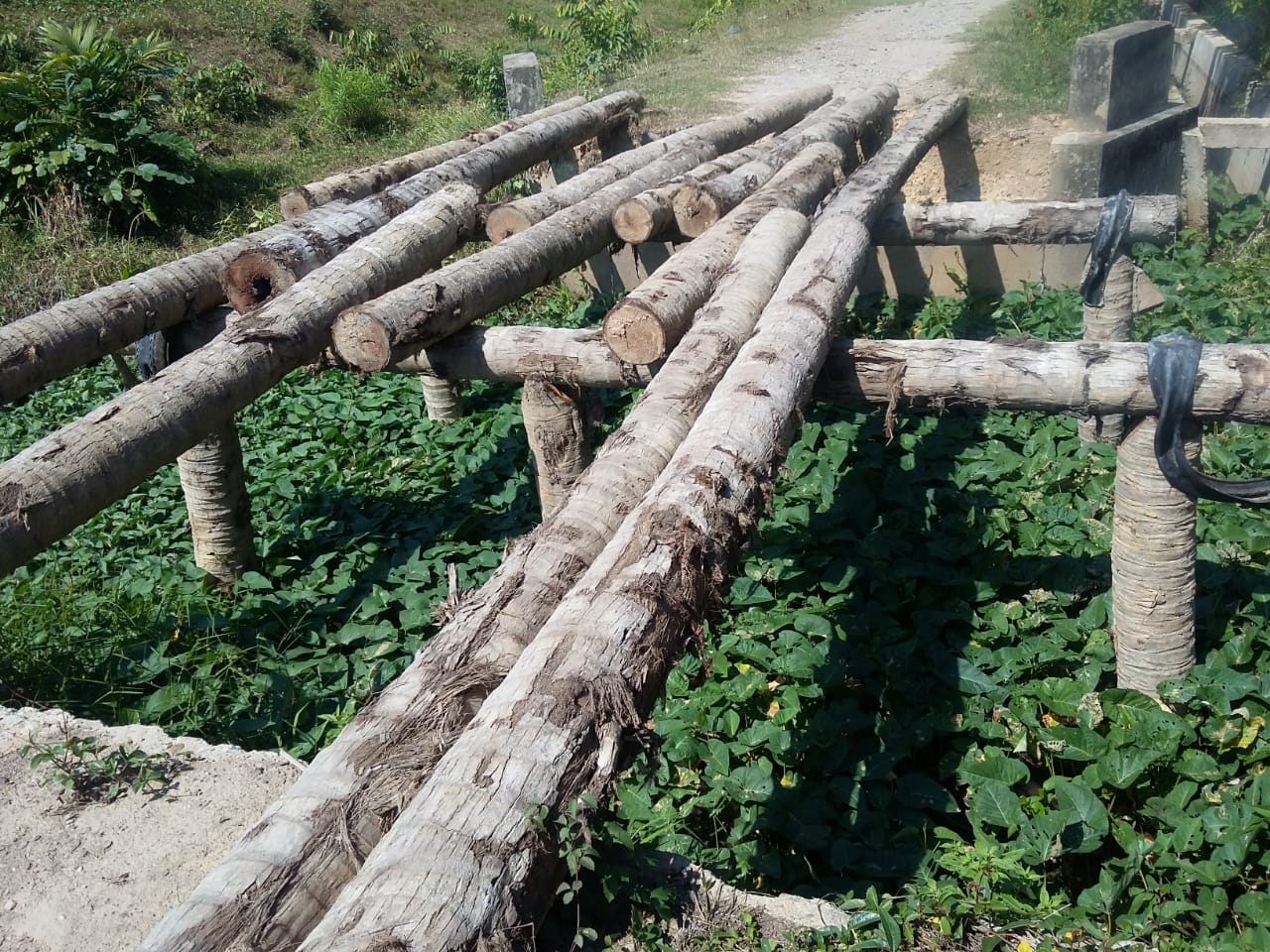 Kondisi Jembantan Gampong/Desa Matang Panyang Kecamatan Baktiya Aceh utara, sudah 3 tidak dapat di lalui
