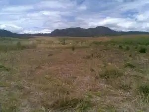 Lahan