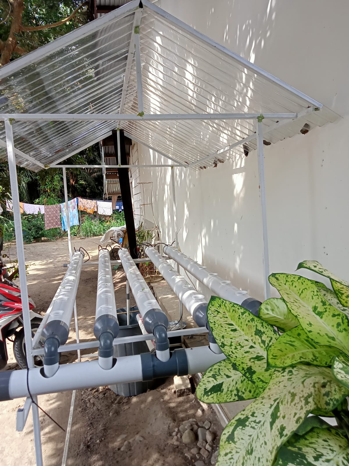 Kejari Labusel Diminta Usut Realisasi Anggaran Desa Perkebunan Normark (Foto/JS)