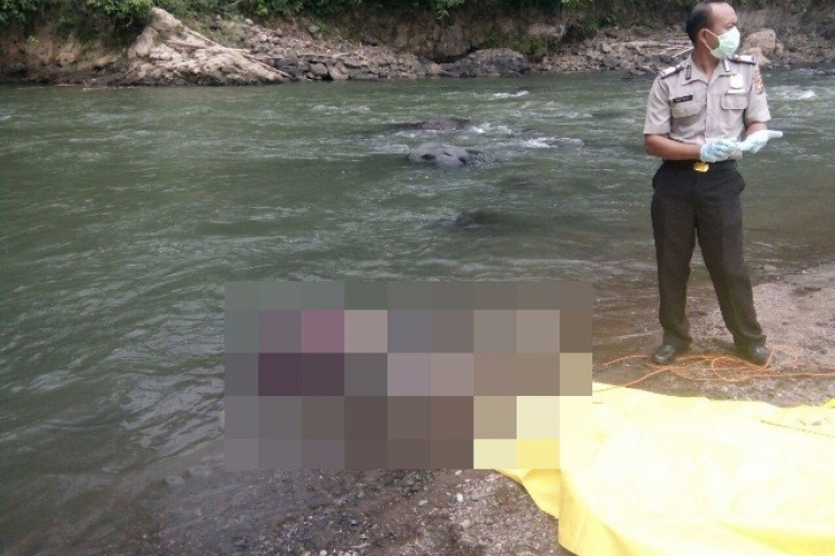 Pamit ke Kebun, Warga Tebat Karai Membusuk