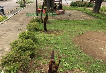 Perindah RTH Bupati Karo Apresiasi Distan dan PUPR