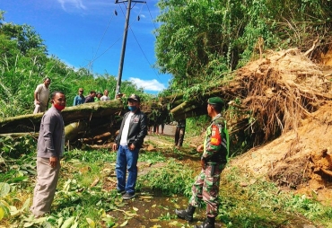 Hujan Deras Akses Jalan Desa Ujung Tran Tertutup Pohon Tumbang
