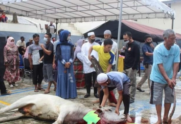 Kurban 9 Ekor Sapi Polres Padangsidimpuan Distribusikan Lewat 560 Kupon