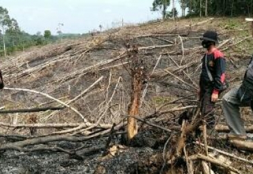 Pantauan Satelit BMKG Tunjukkan Sebaran Titik Panas di Mukomuko