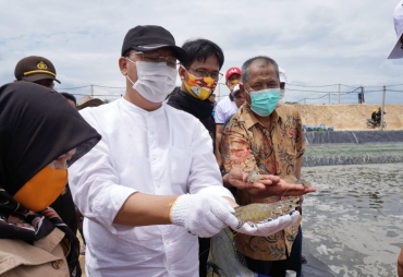 Permudah Perizinan Upaya Jitu Gubernur Rohidin Kembangkan Potensi Kemaritiman