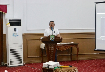 Pelaksana Tugas Gubernur Bengkulu Dedy Ermansyah