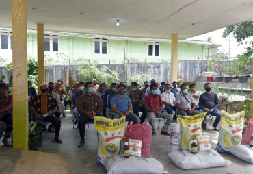 Walikota Padangsidimpuan Serahkan Bantuan Bibit ke 19 Poktan