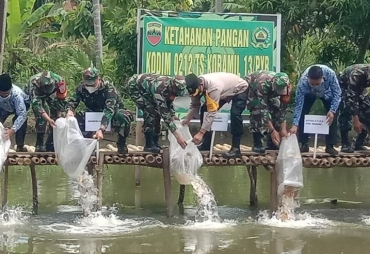 Dandim 0212/Tapsel Tabur Benih Ikan Mas di Mandailing Natal