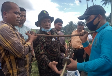 Sidimpuan Bertekad Menjadi Sentra Bawang Merah di Tabagsel